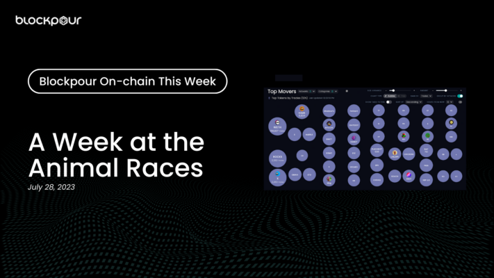 A Week at the Animal Races